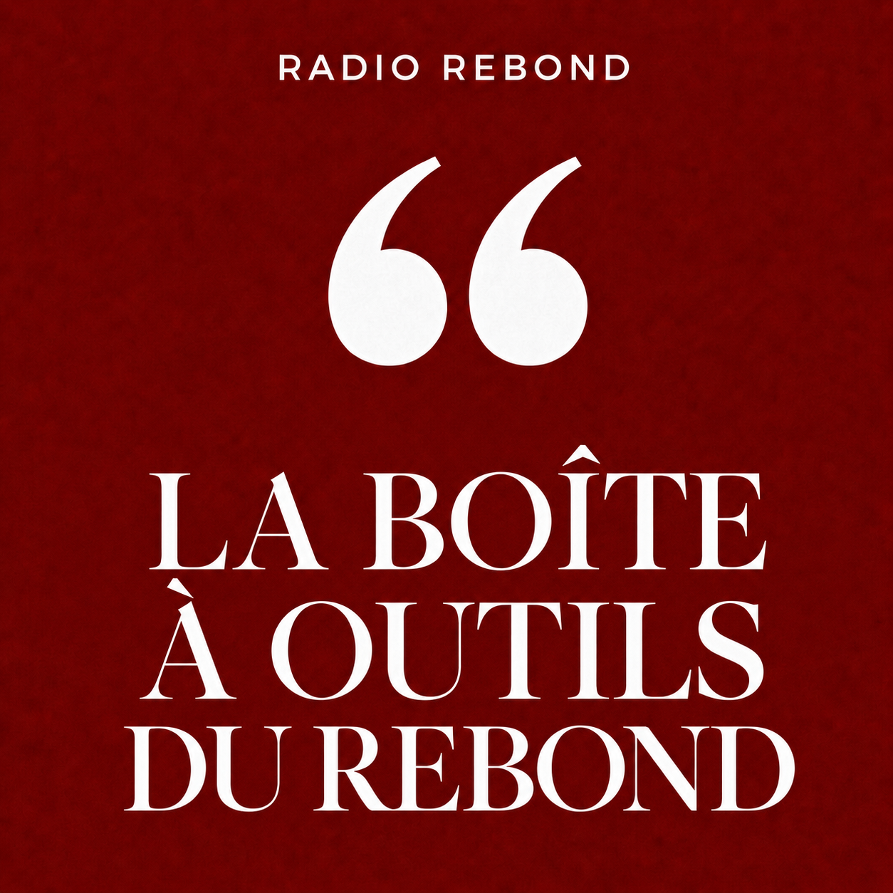 Pochette de La sauvegarde accélérée
