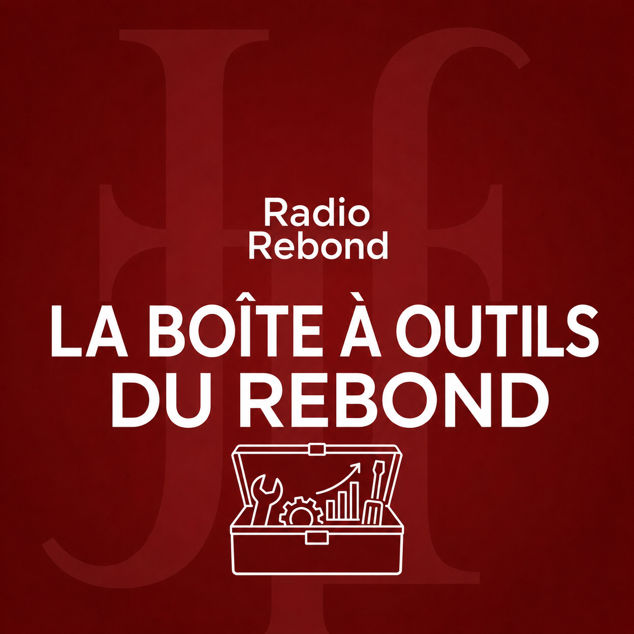 Pochette de La sauvegarde accélérée